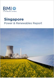 Singapore Power & Renewables Report